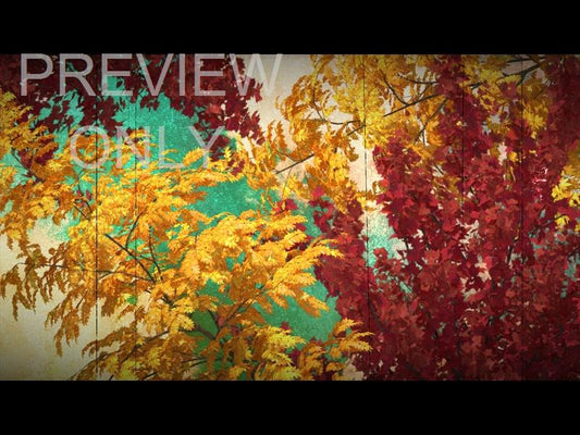 Seasonal Vibes: Fall Edition Still 8