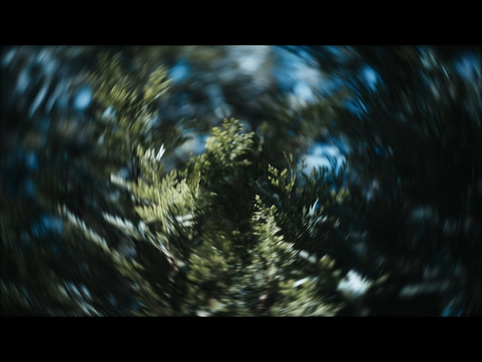 Radial Nature 1