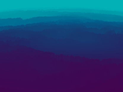 Magic Forest Flight