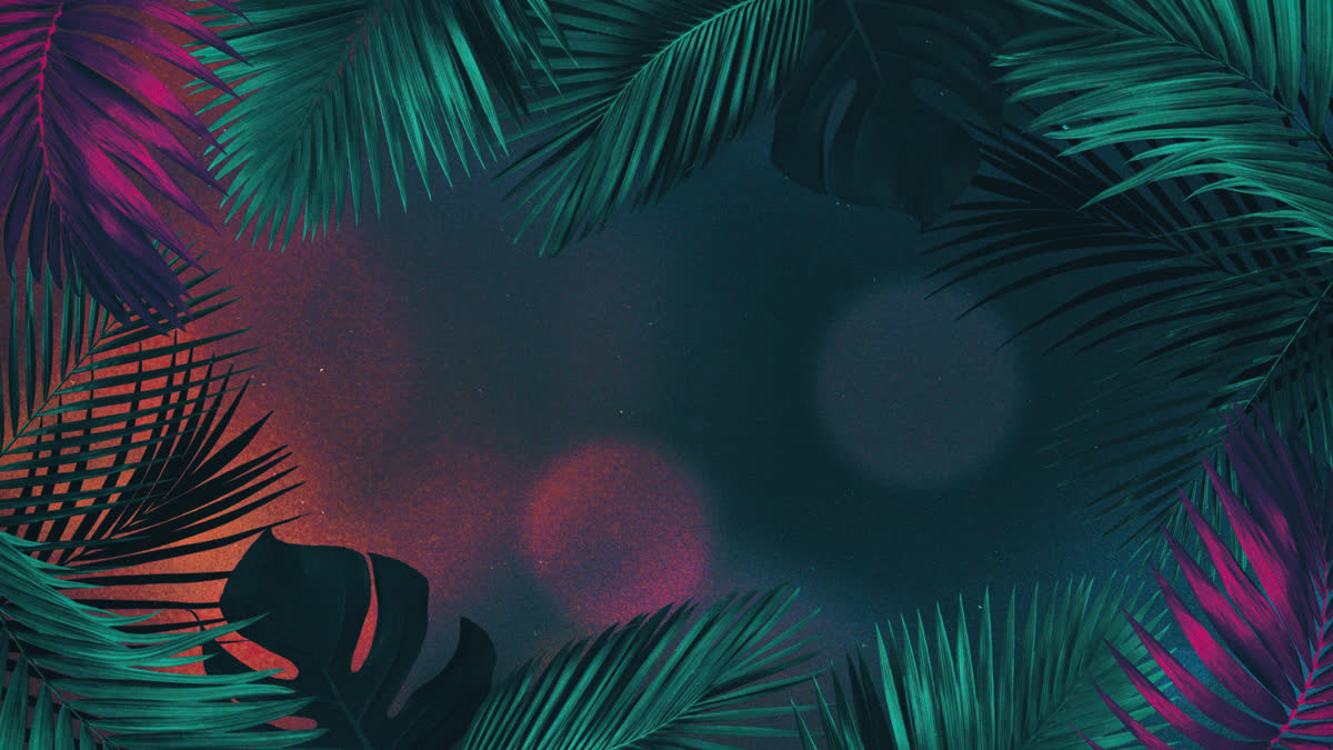Vibrant Palms 1