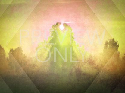 Spring Morning Yellow Still