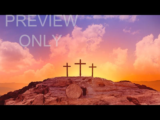 Easter Sunday: 7 Still