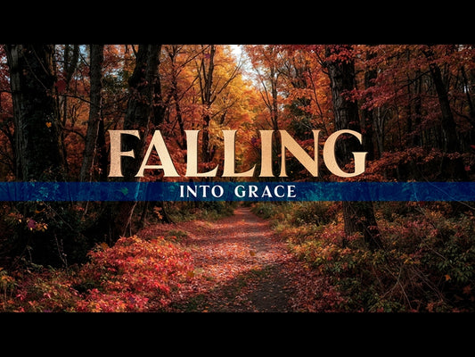 Forest Fall Falling Into Grace