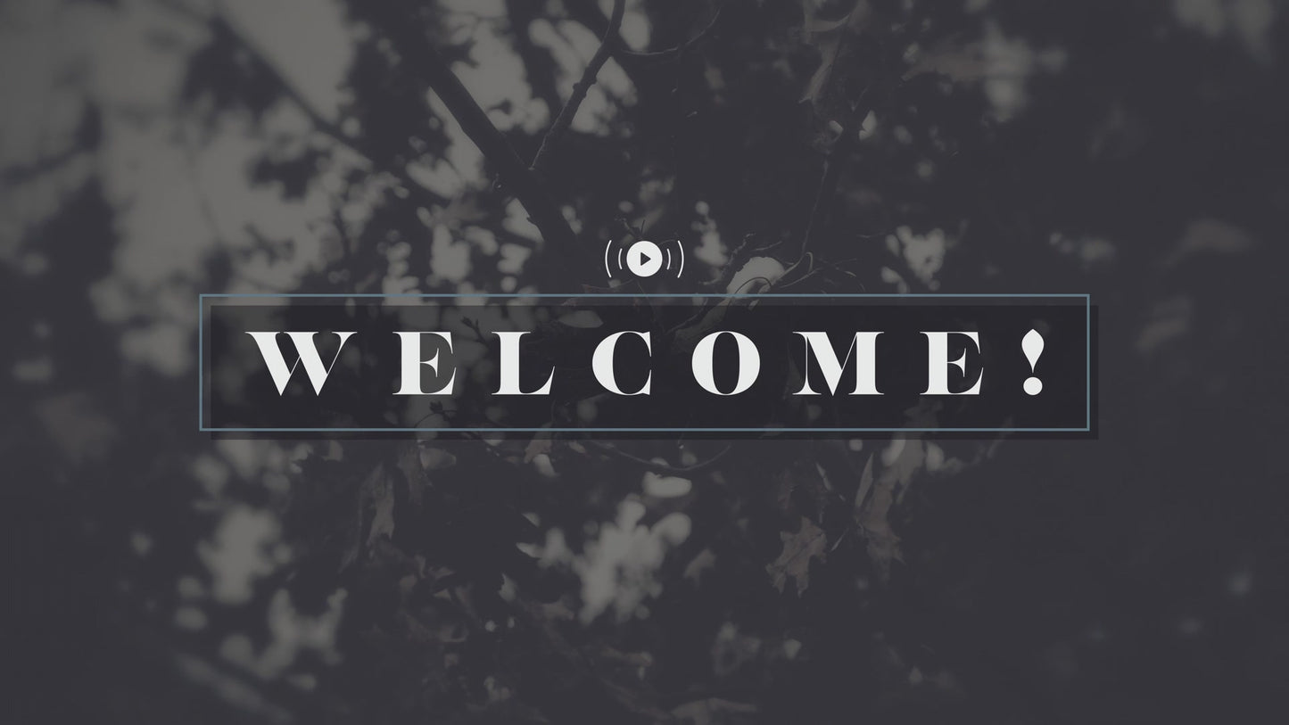 Bleak Beauty Welcome Stream Still