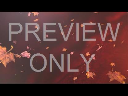 Thankful Fall 1 Graphic