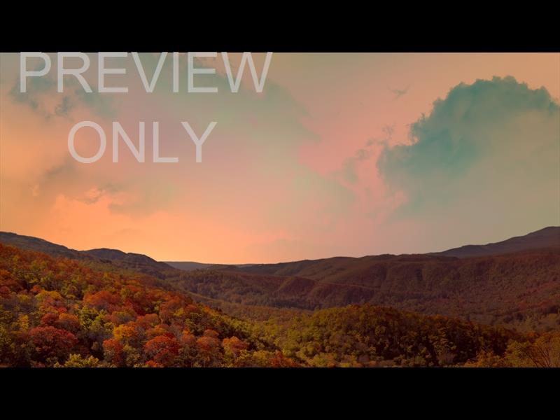 Wilderness Fall 14 Still