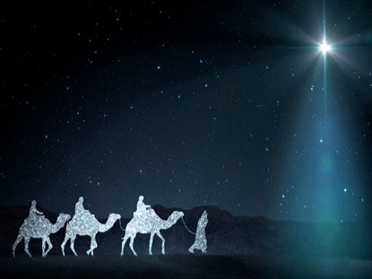 Starlight Nativity 4