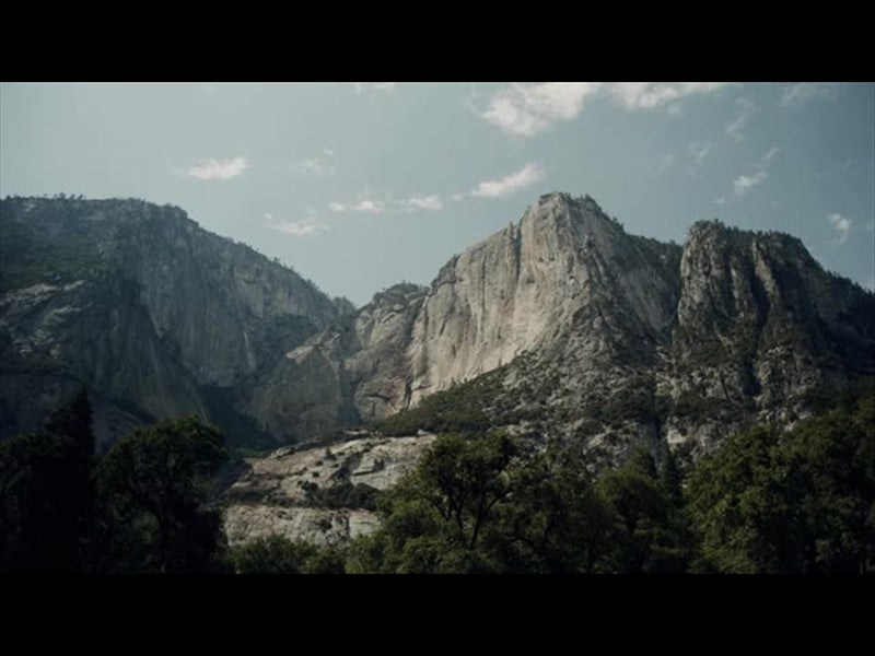 Yosemite Meadows Motion - 15