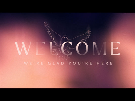 Soaring Welcome