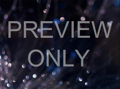 Winter Frost 9 Still