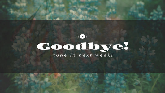 Muted Spring Exit Stream