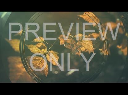 Restless Fall 2 Graphic