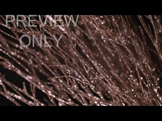 Christmas Gold 6 Still