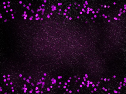 Classy New Year 3 Motion