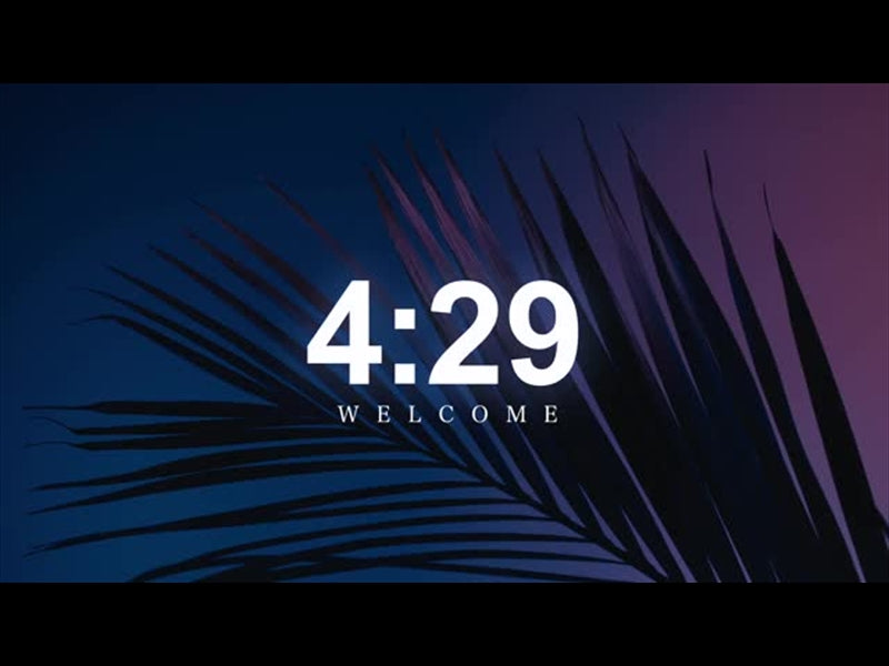 Cinematic Palms Countdown