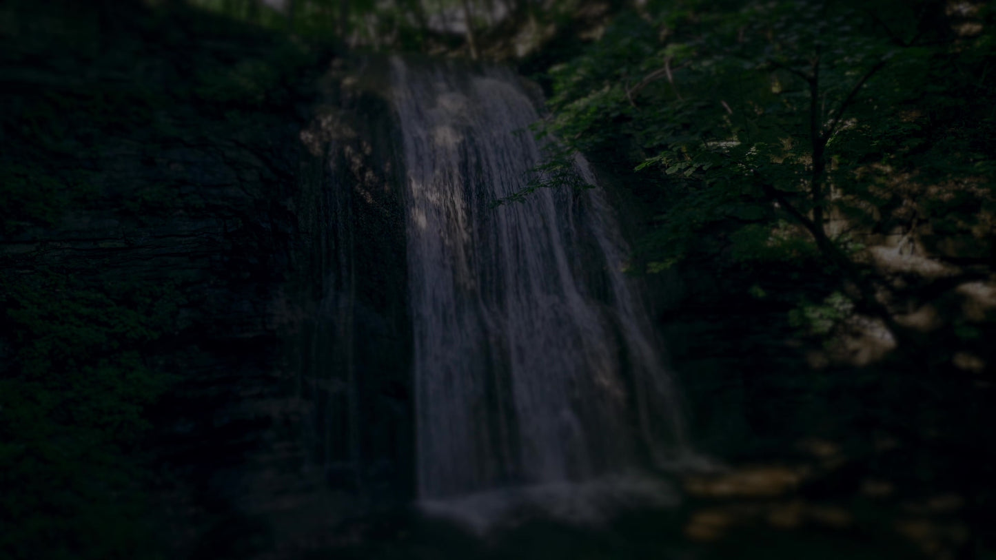 Nature'S Force 7 Darken Still