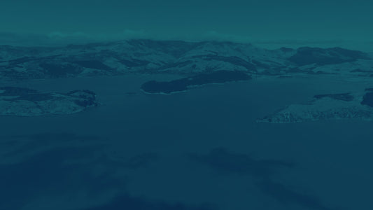 Peaceful Flight 6 Tint