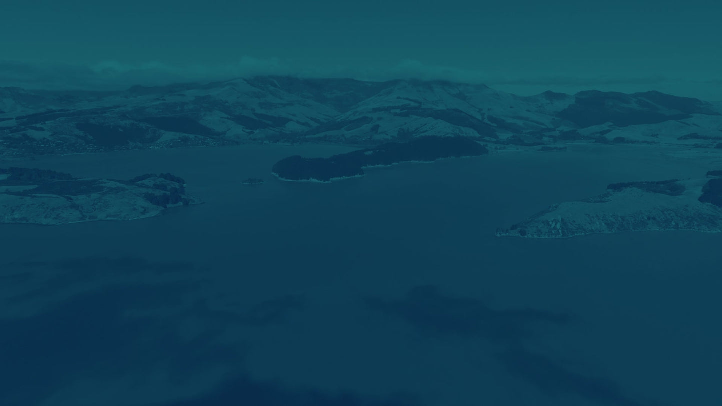 Peaceful Flight 6 Tint Still