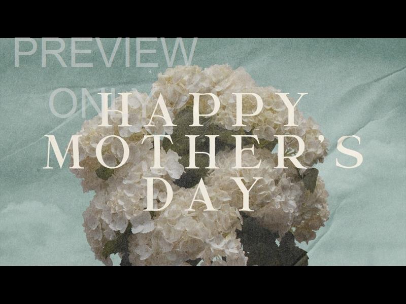 Hydrangea Mothers Day Still