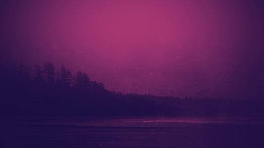 Misty Water Shore Tint Blank Still