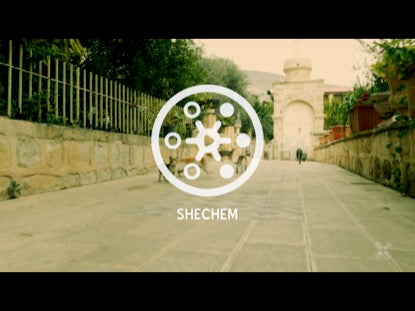 Promised Land Shechem