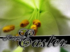 Easter 3