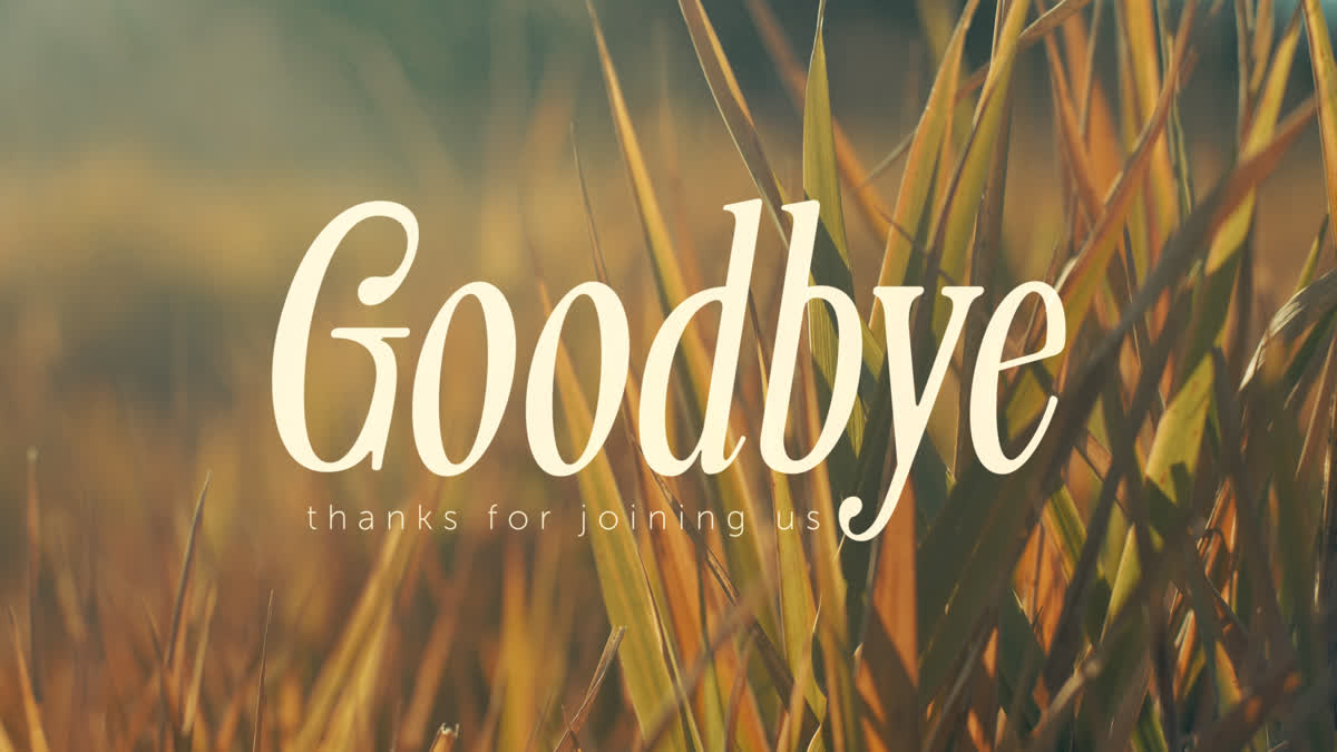 The Grass Still Goodbye