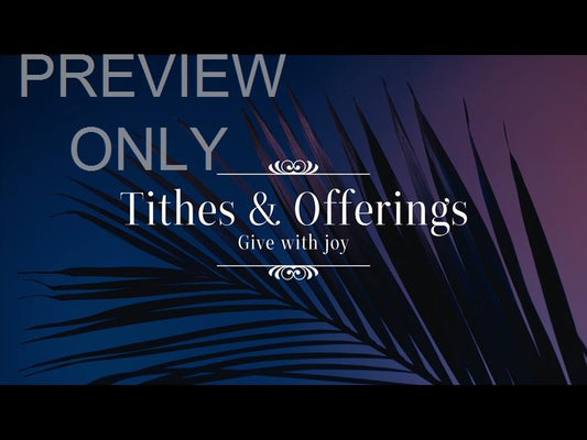 Cinematic Palms Offerings Still