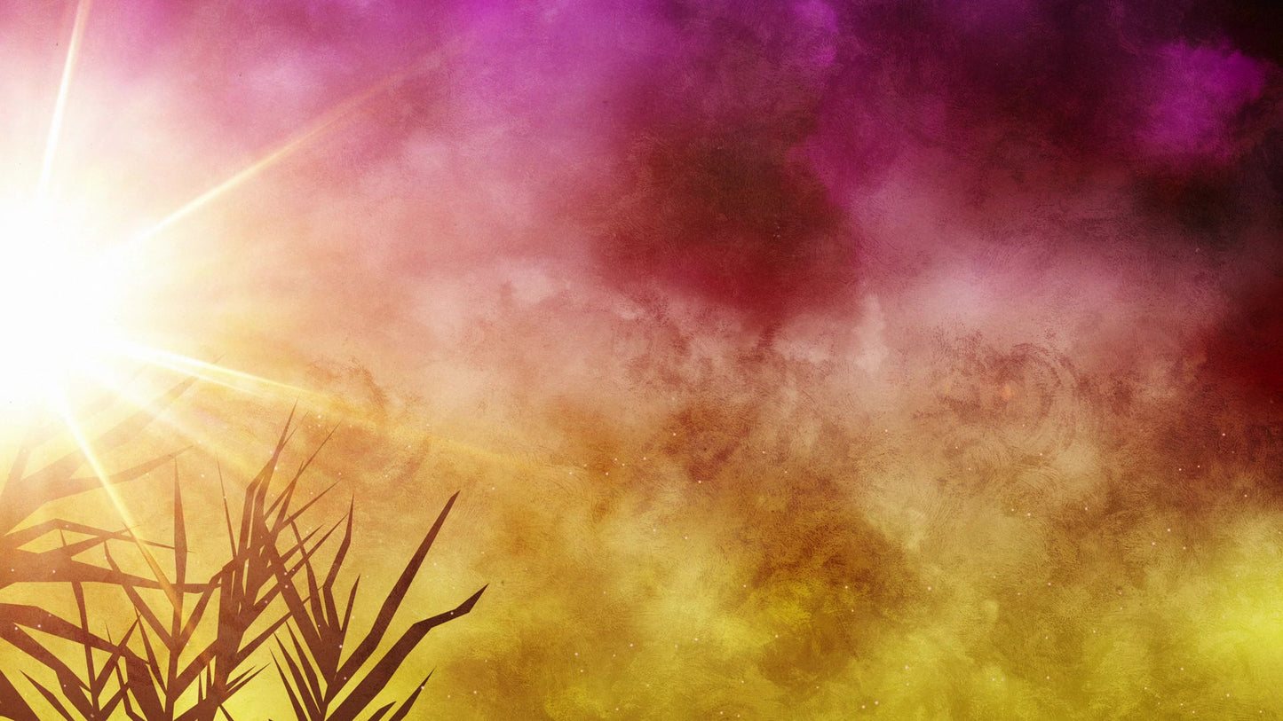 Bright Palm Sunday 05