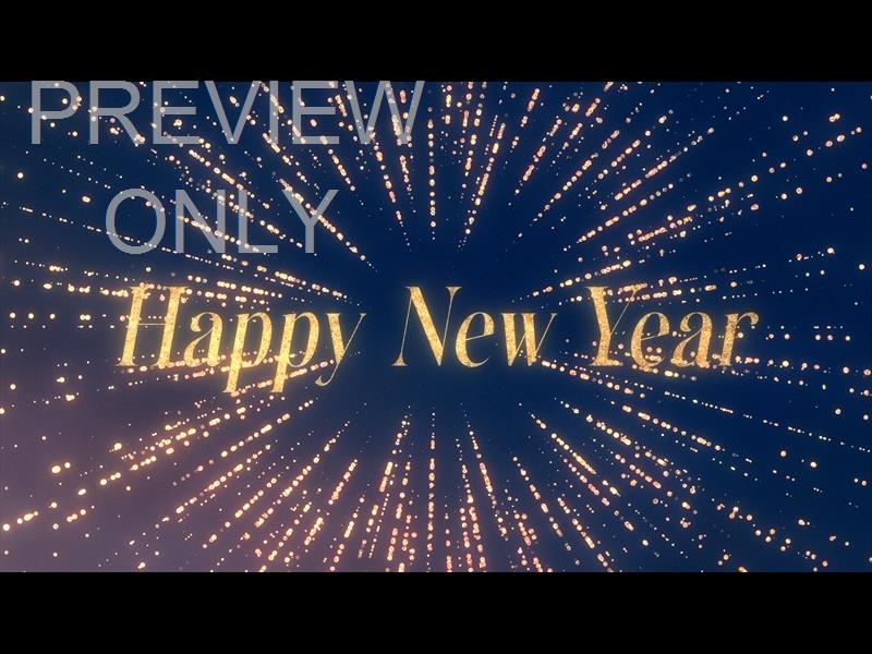 Splendor Of Christmas New Year Still