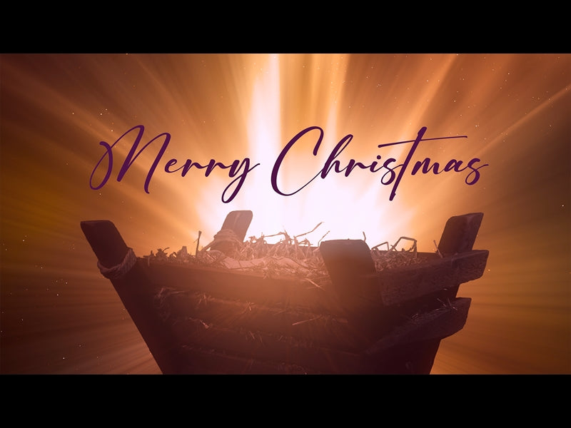 Christmas Manger Merry Christmas