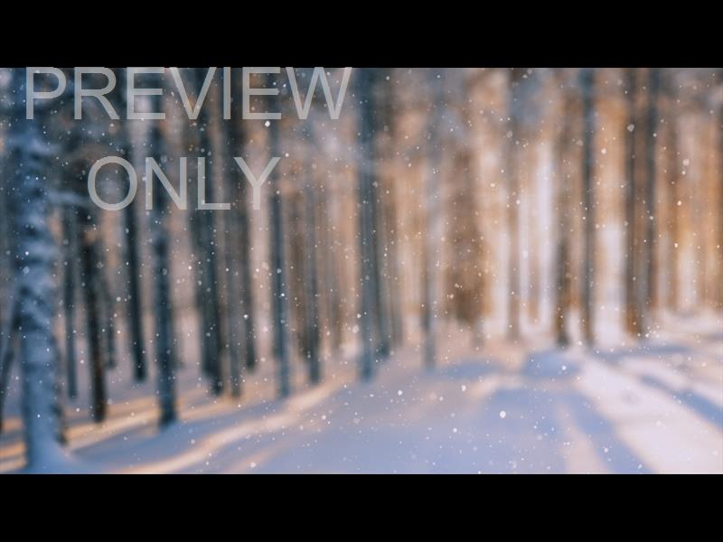 Snow Shimmer: 09 Still