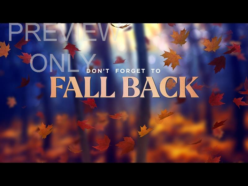 Fall Woods Fall Back Still
