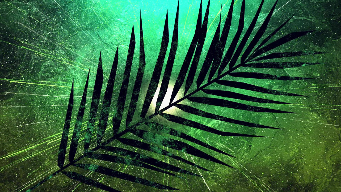 Vivid Palm Sunday 03 Still