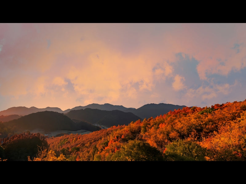 Wilderness Fall 7
