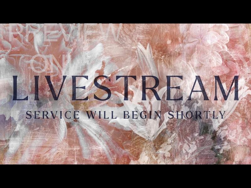 Bouquet Livestream Still