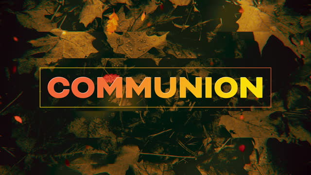 Autumn Memories Communion