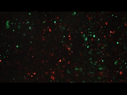 Christmas Glitter Slow Dark