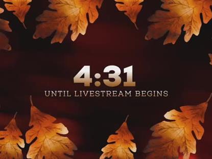 Autumn Glow Livestream Countdown
