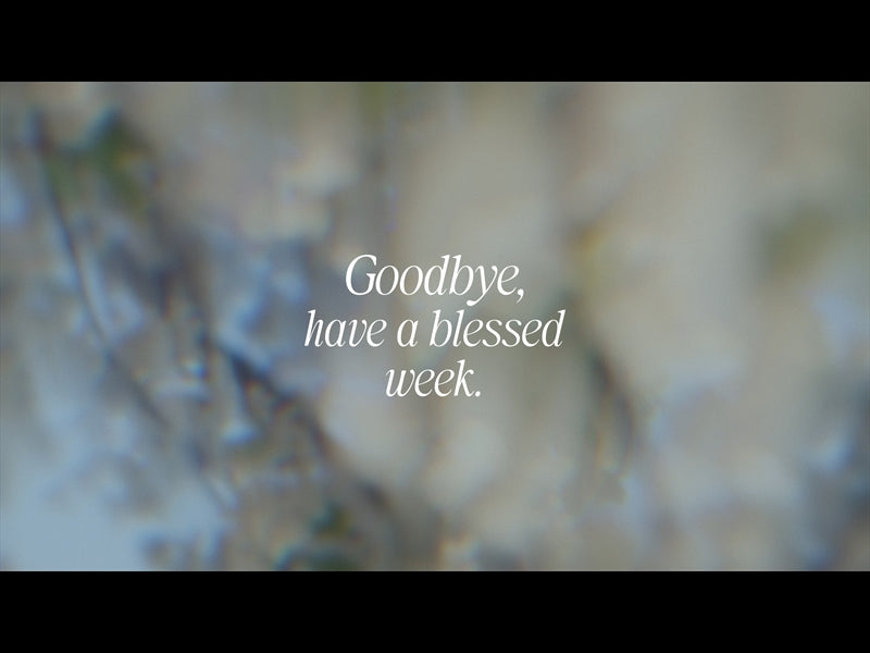 Daydream Goodbye