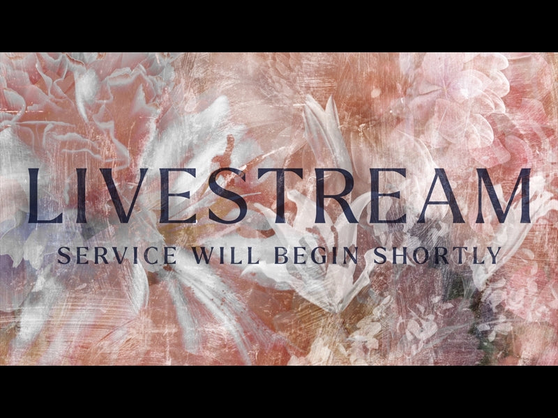 Bouquet Livestream Loop