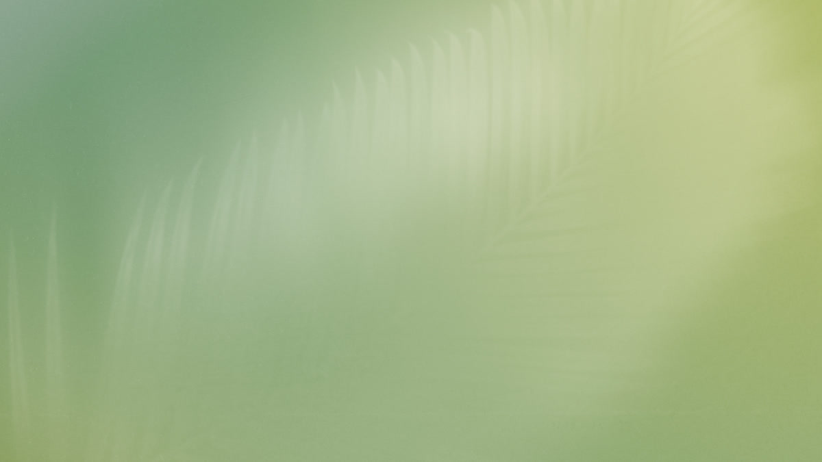 Living Hope Still 06