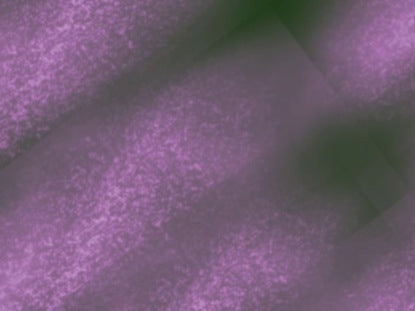 Hills Of Lavender