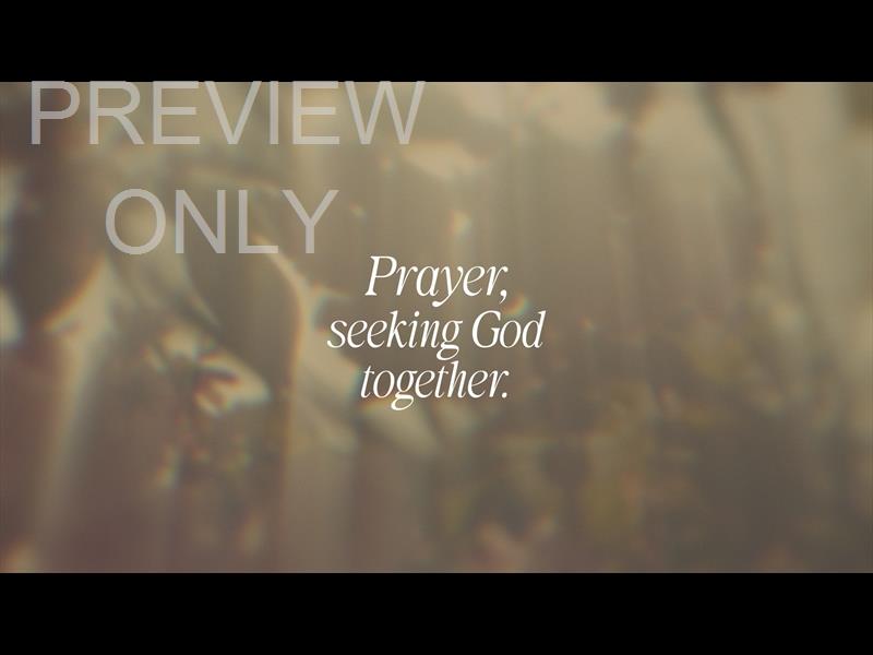 Daydream Prayer Still