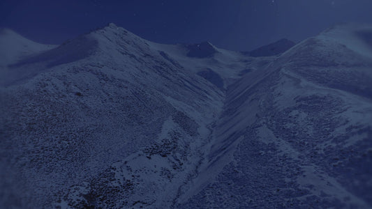 Deep Winter 12 Tint Still