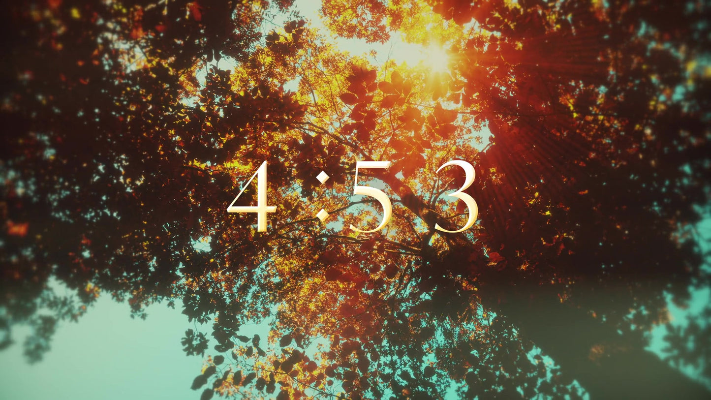 Autumn Canopies Countdown