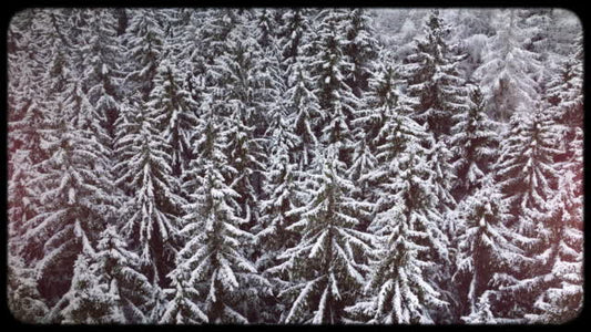 Retro Winter 09