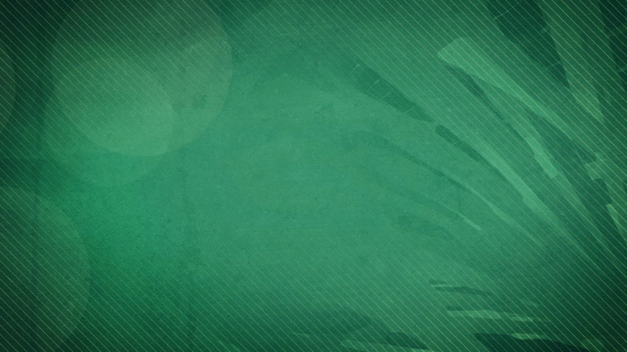 Palm Sunday Branches 01 Still