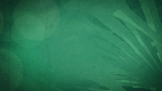 Palm Sunday Branches 01 Still