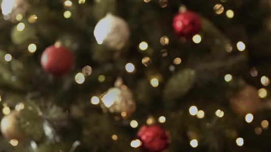 Christmas Lights Ii: 11